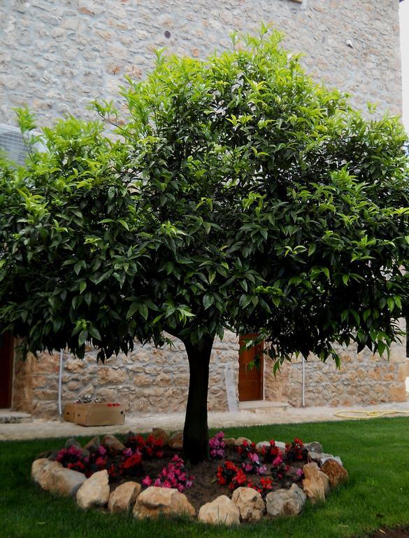 Agriturismo Casale Re Sonnino Exterior photo