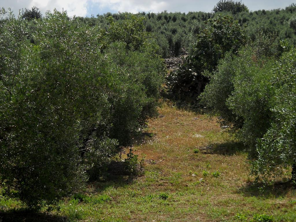 Agriturismo Casale Re Sonnino Room photo
